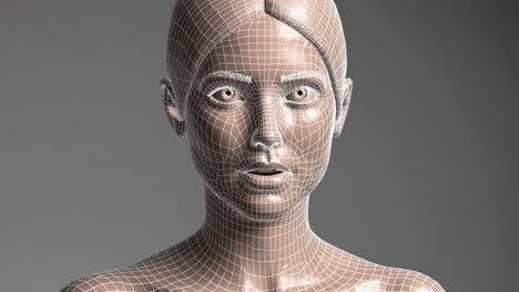 wireframe model of a woman's face