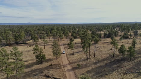 paso aéreo sobre overlander viajando por camino de tierra en bosque remoto, 4k