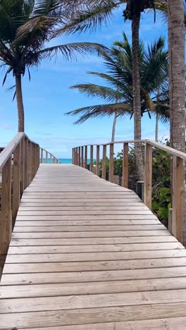 wooden walkway by the beach