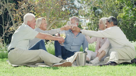 senior friends celebrating a picnic