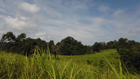 Landscape,-Bluesky,-Moving-Clouds,-People-Nature-Walking-at-a-Distance