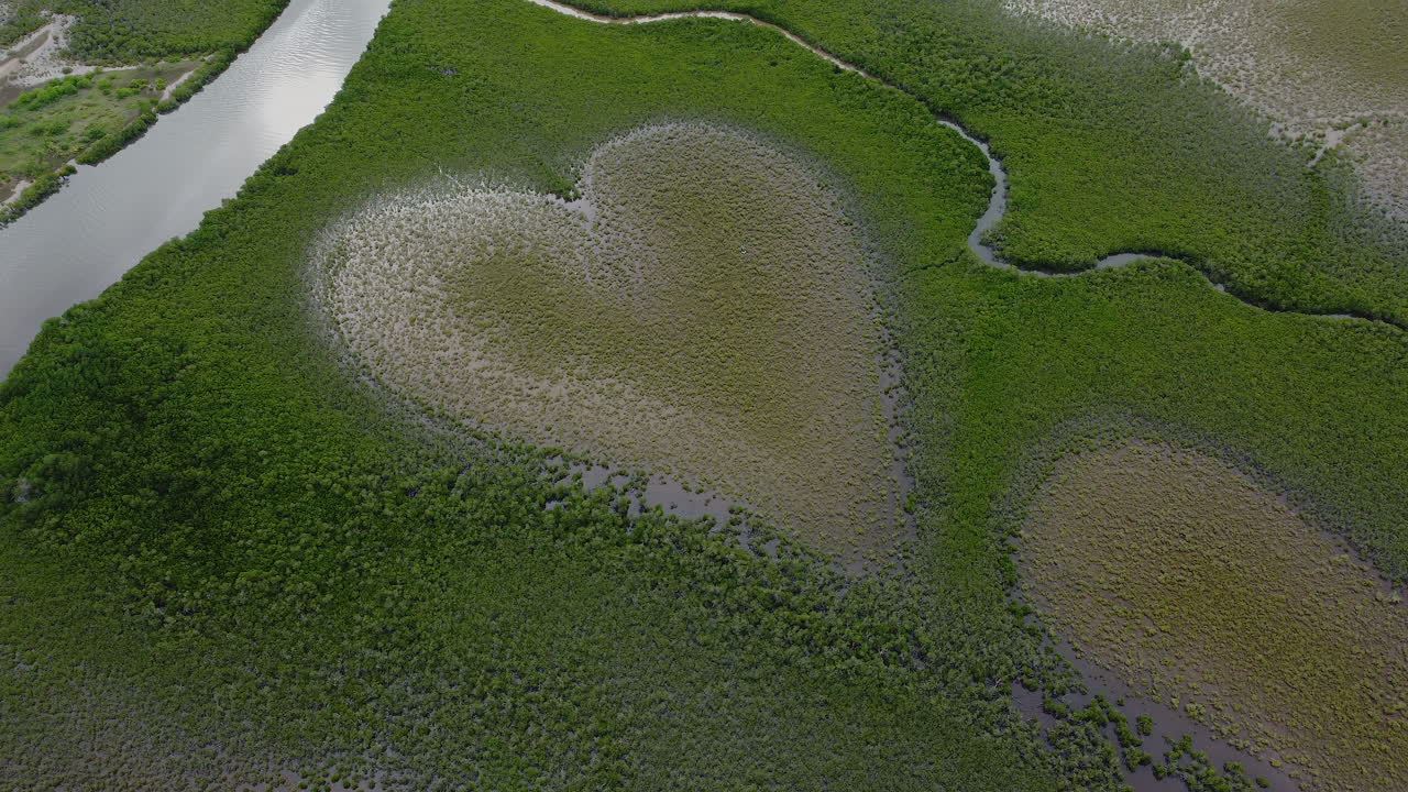 공중에서 본 뉴칼레도니아의 유명한 voh 심장부