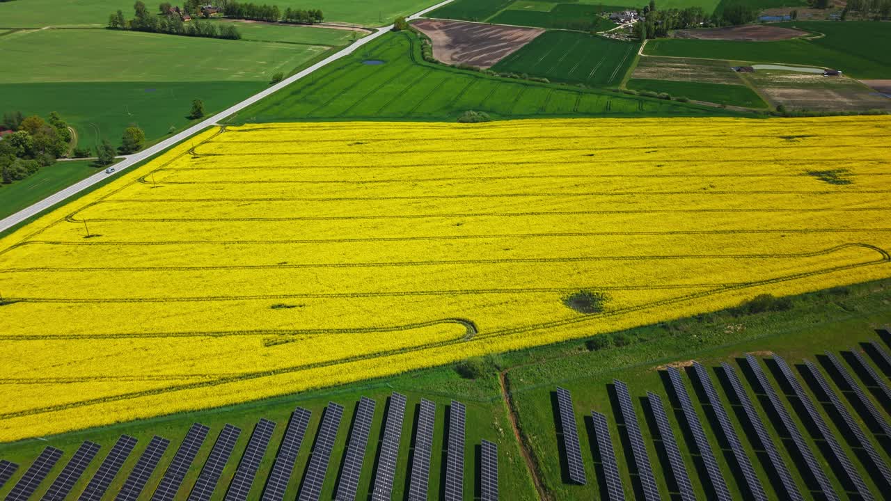 Aerial overview of solar farm with panels lined up in green field, renewable energy shot