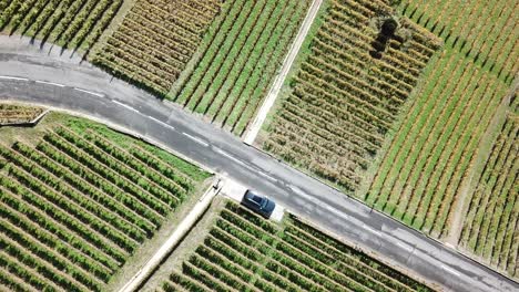 Vista-Aérea-Superior-Desde-La-Parte-Superior-De-Un-Automóvil-Estacionado-Al-Costado-De-La-Carretera-En-Los-Viñedos-De-Lavaux