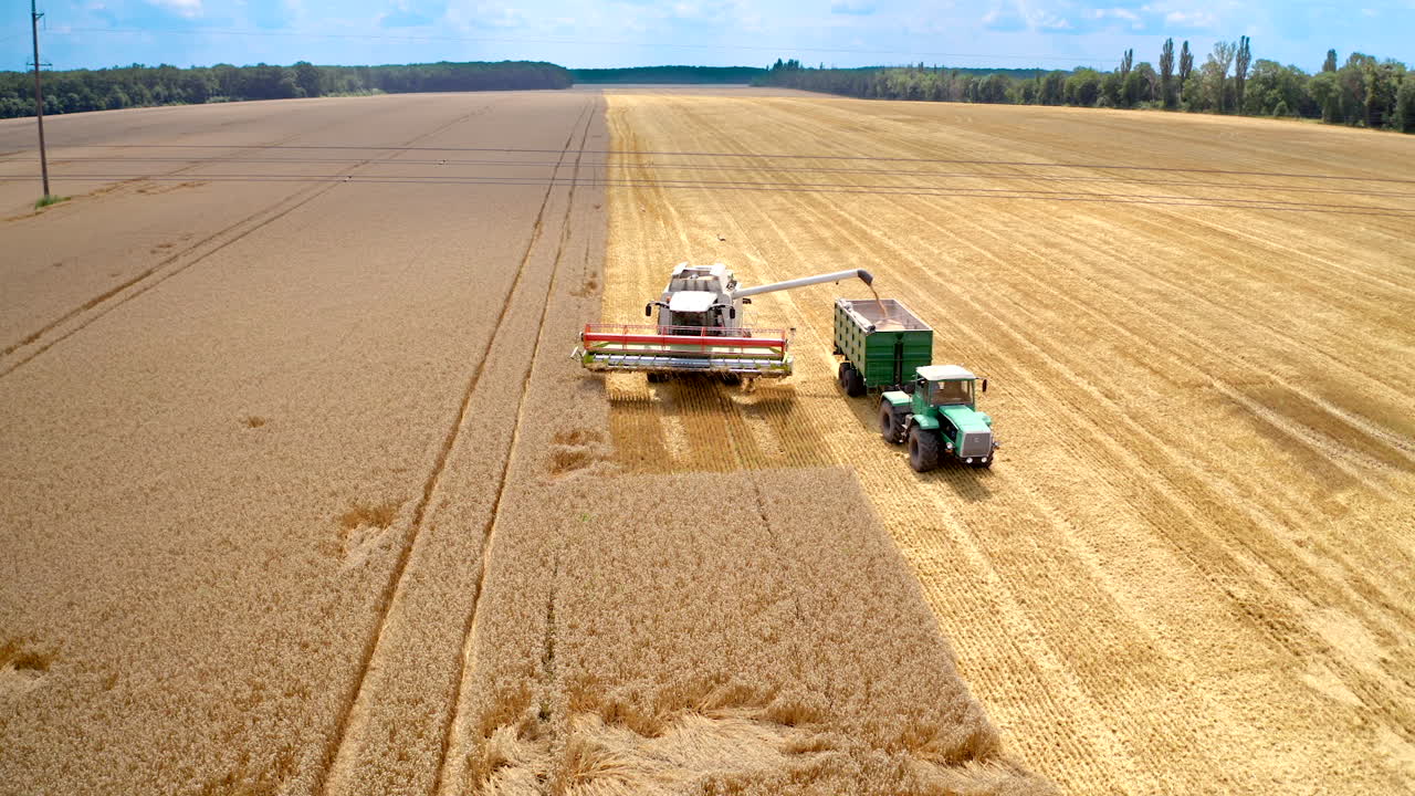 Agriculture machinery working on field in summer. Combine harvester pouring ripe grains into tractor trailer. Harvesting season.