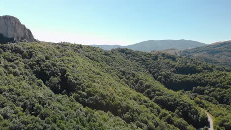 aerial shot of forest, high cliffs and car road