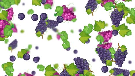 vibrant grapes cascade against a white backdrop