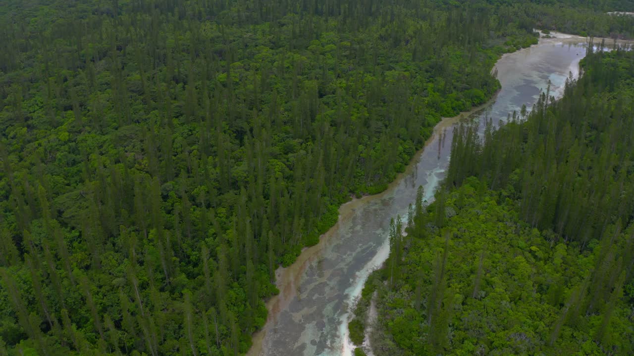 disparo de drones volando sobre un río tropical rodeado de pinos durante el día