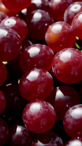 close-up of red grapes