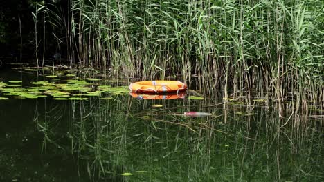 a life belt floating at edge of lake. staffordshire. uk