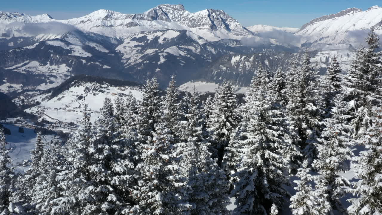 Luftaufnahme, die über einen schneebedeckten Kiefernwald mit Bergkulisse fliegt, bevor der Blick nach unten auf den darunter liegenden Wald schwenkt.