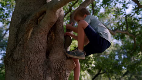 young boy climbing a tree outdoors
