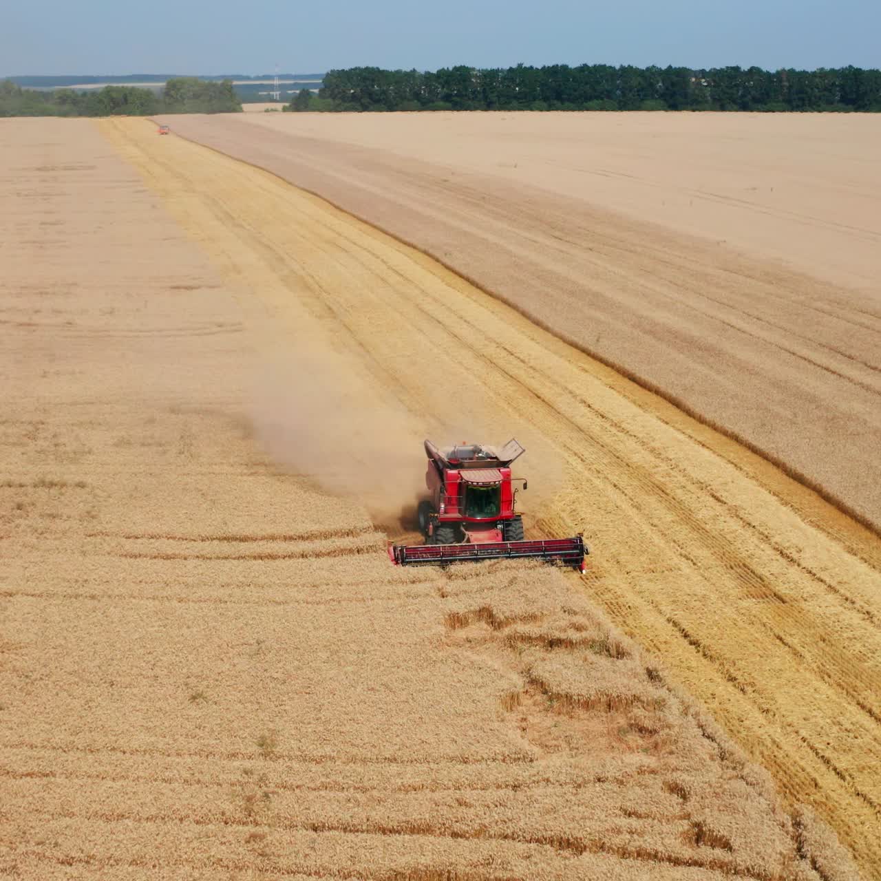 Red harvester mowed the path in the middle of wheat field. Vast farmlands at harvest season at the backdrop of green trees and blue skies