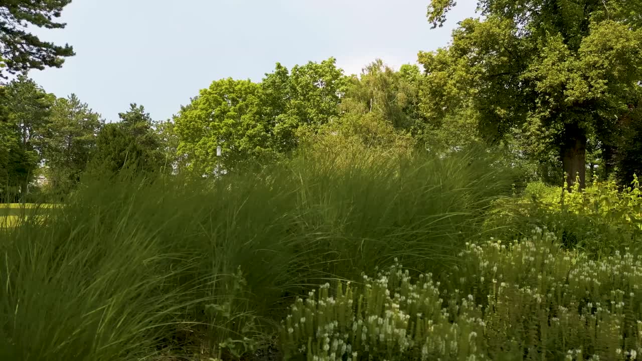 4K Aerial Drone Video of City Park in Erfurt, Germany