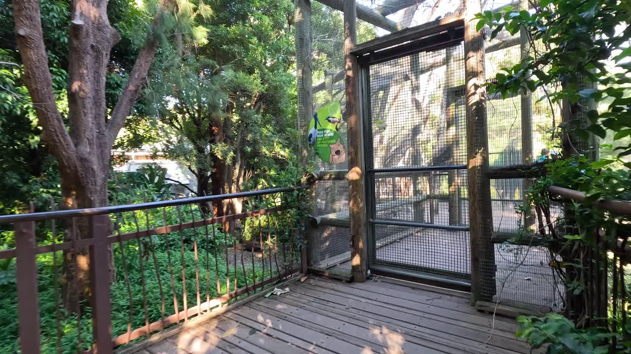 Um passeio pelos recintos de animais no Zoológico de Melbourne