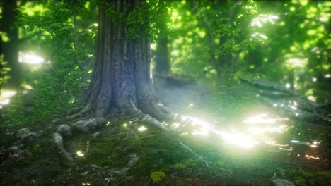 scenic forest of fresh green deciduous trees framed by leaves