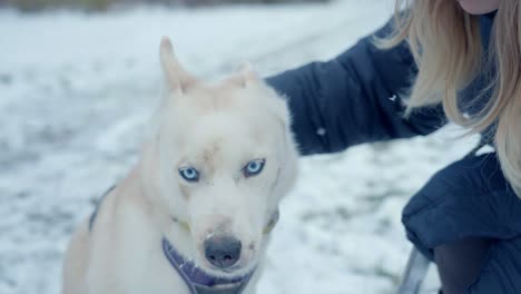 a girl hugging-kissing a dog in the snow of husky siberia