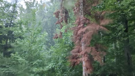 Regen-Draußen-Durch-Das-Fenster-Eines-Autos