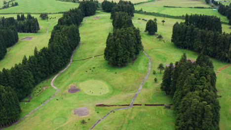 toma cinematográfica de un dron aéreo del campo de golf verde