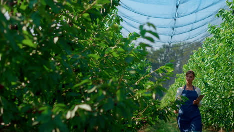 agribusiness owner checking quality of plants growth with device in plantation