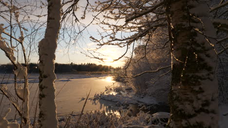 Puesta-De-Sol-Dorada-En-El-Paisaje-Invernal-Congelado