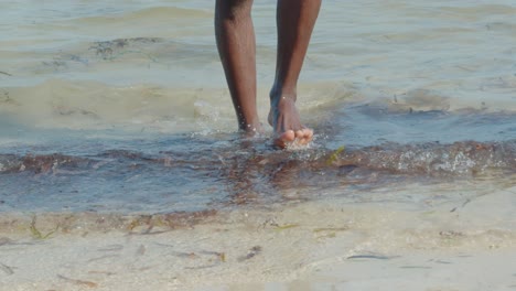 the bare lower legs and feet of a black person who walks among the water plants in the ocean at low tide