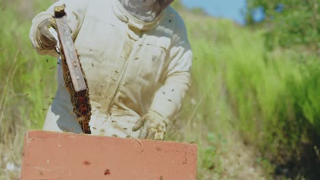 a beekeeper inspecting a beehive, surrounded by bees, in an outdoor setting.