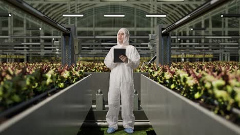 full body of asian man researcher using tablet and looking around while standing in the greenhouse with smart robotic farmers