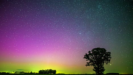 timelapse shot of breathtaking view of shooting stars and greenish-violet sky filled with stars