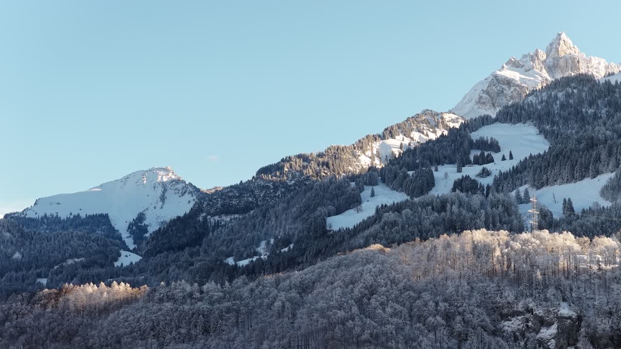 Walensee, İsviçre'deki karlı Alp dağlarının havadan görünümü, kış orman yamaçları, berrak mavi gökyüzü, soğuk mevsimin huzurlu doğa manzarası