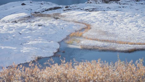un paisaje norteño cubierto de nieve en la orilla del pequeño lago