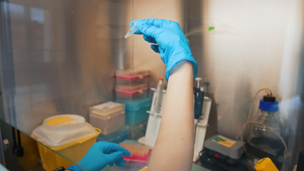 Laboratory technician tools for taking sample. Young female doctor checks quality of collection tube