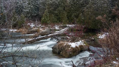 river flowing in winter forest over rocks and fallen trees, timelapse