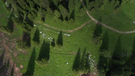 Vista-Aérea-Cinematográfica-De-Un-Prado-En-Los-Alpes-Franceses