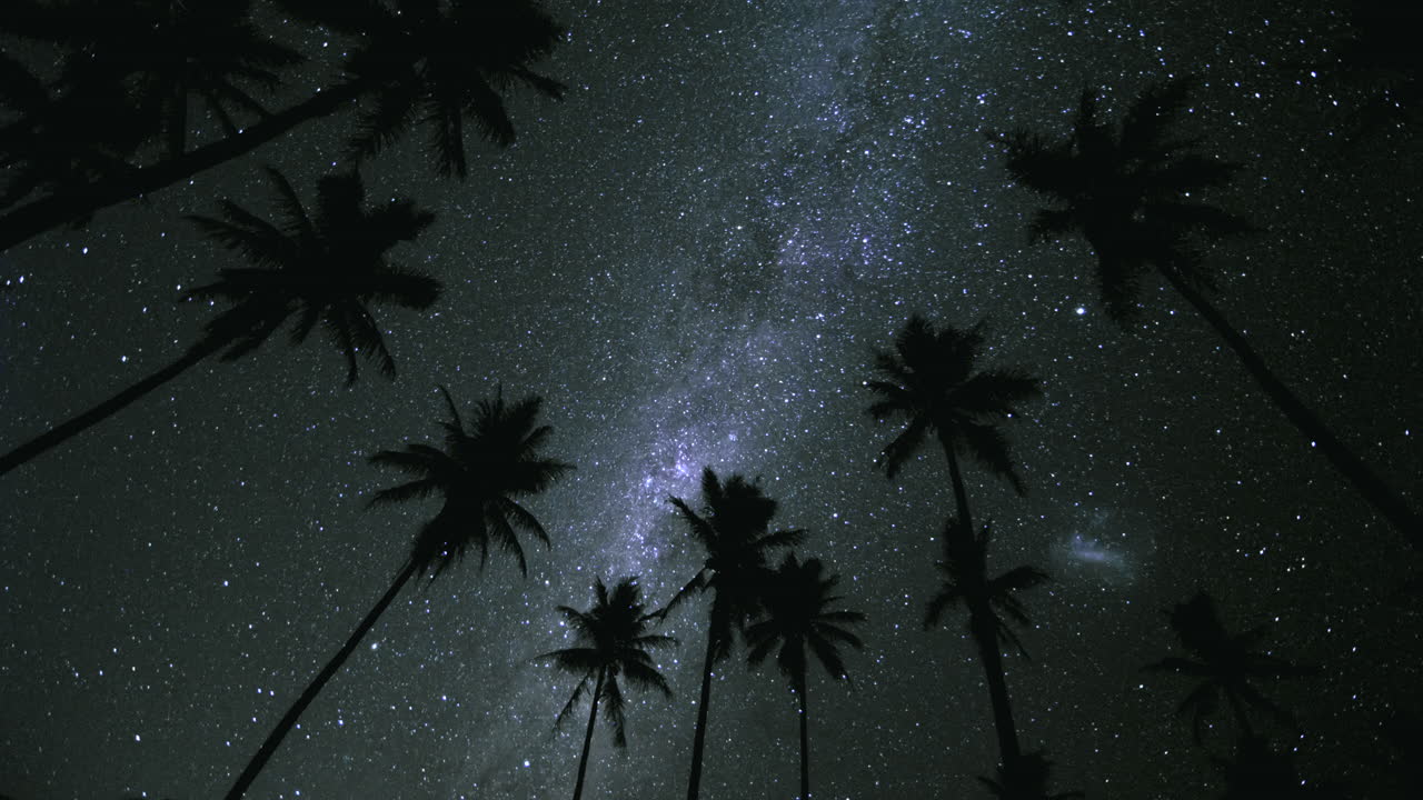 lapso de tiempo de la estrella de milkyway del cielo nocturno con palmeras de silueta - nube de magallanes