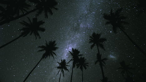 Lapso-De-Tiempo-De-La-Estrella-De-Milkyway-Del-Cielo-Nocturno-Con-Palmeras-De-Silueta---Nube-De-Magallanes