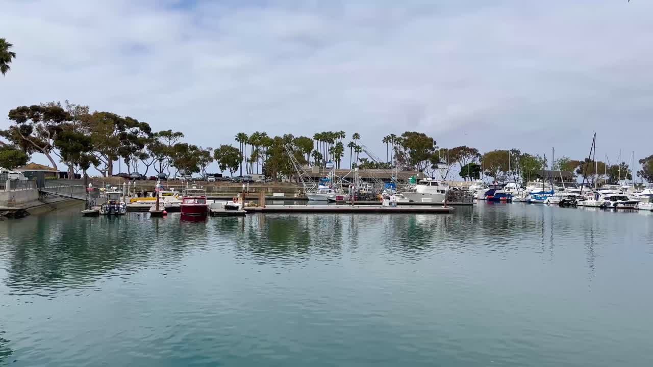 los barcos se sientan en el puerto de dana point en el sur de california.