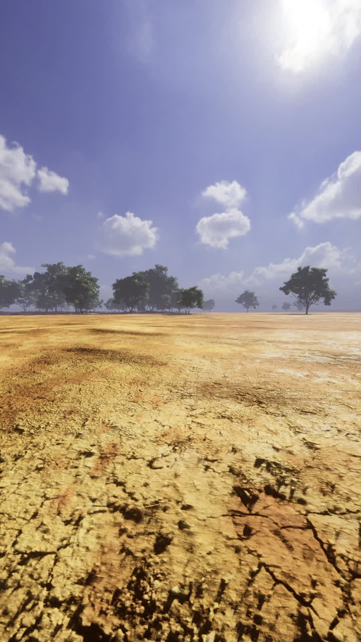 Bright sun shines on a dry landscape with sparse trees and blue skies