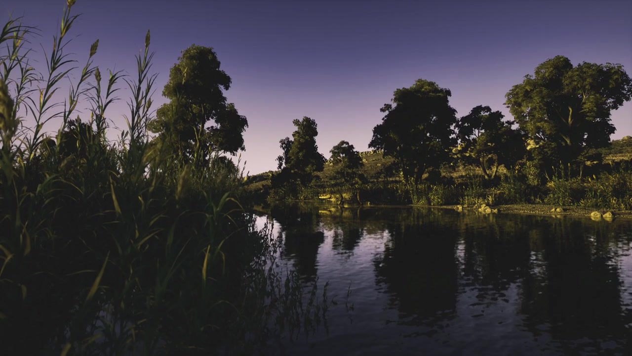 Águas Calmas Refletindo Árvores e Vida Selvagem ao Pôr do Sol em Cenário Natural