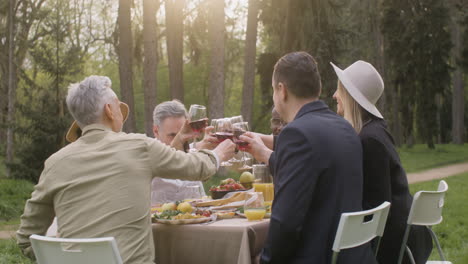 multirracial friends toasting with red wine while sitting at table during an outdoor party in the park 1