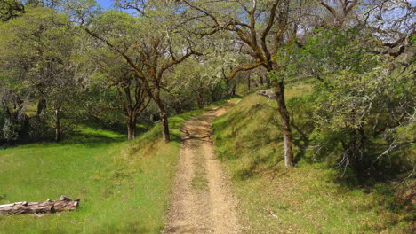 Vista-Aérea-Baja-Siguiendo-Un-Pacífico-Y-Pintoresco-Sendero-De-Tierra-De-Bosques-De-Hierba-Que-Se-Curva-Hacia-Una-Pequeña-Ladera