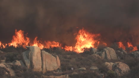 blazing fire and dark smokes on a wild forest fire