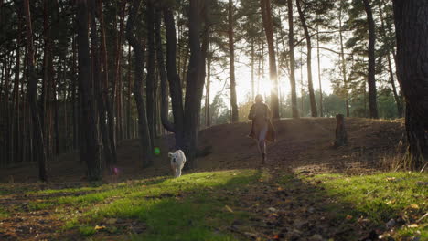 una mujer activa de mediana edad corre con un perro a través del bosque - teniendo un buen tiempo con su mascota, recreación activa