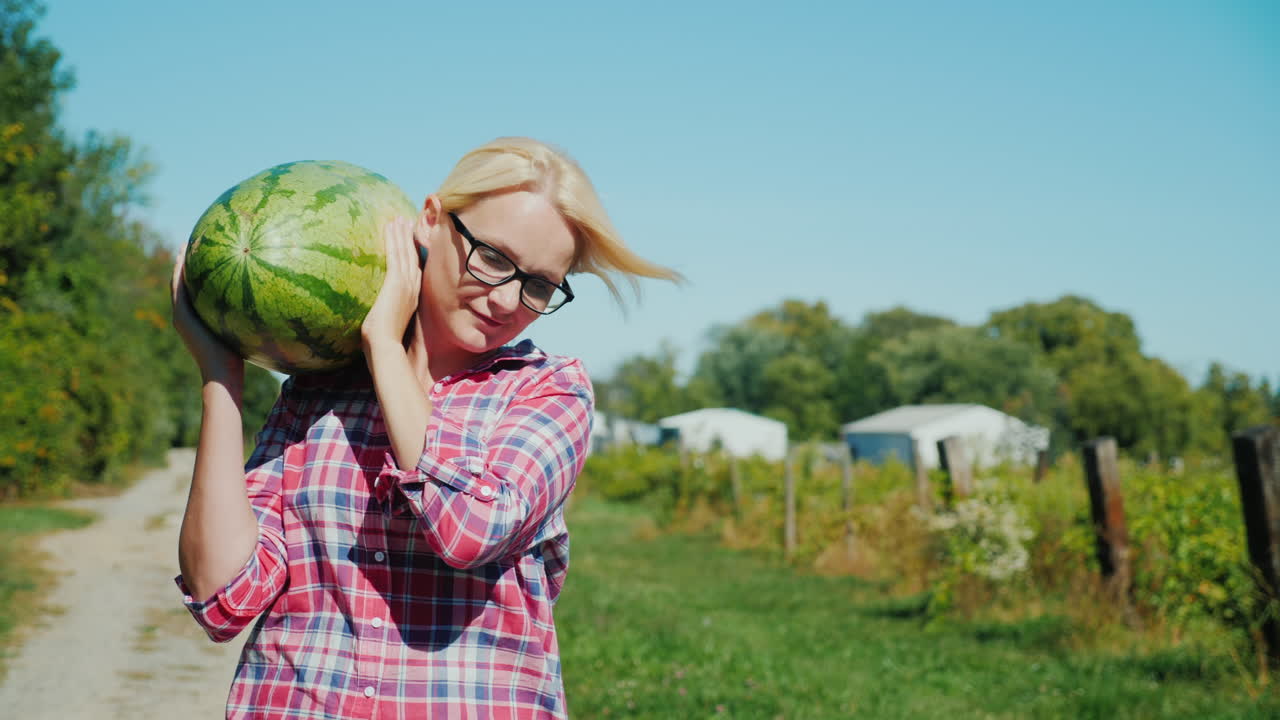 농장에서 수박을 나르는 여자