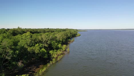 toma de área ascendente de una línea de costa cubierta de bosque