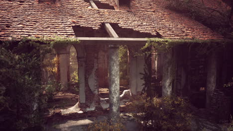 abandoned building ruins with overgrown vegetation