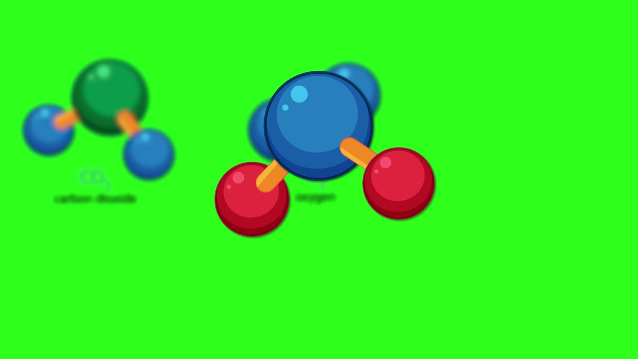 Animated molecules of carbon dioxide, oxygen, and water with labeled atoms on green background