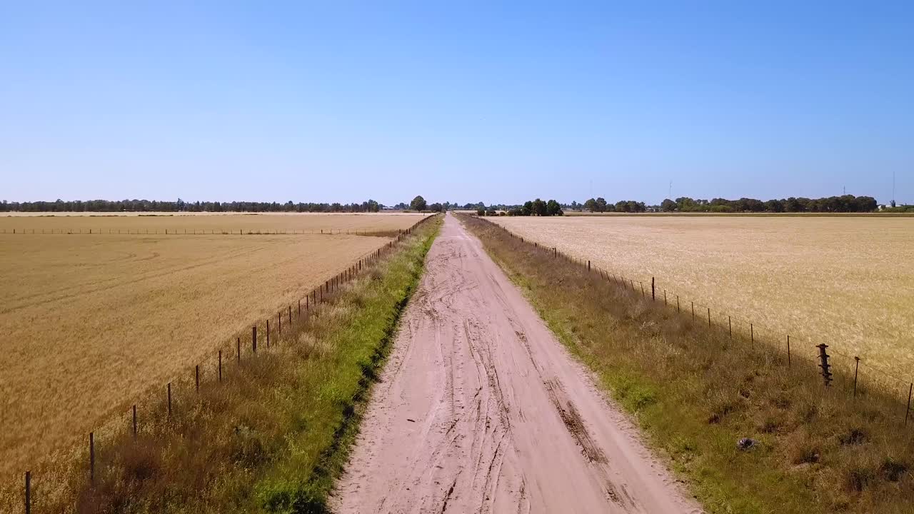 camino de campo vacío a través de campos de trigo en verano - toma aérea de drones