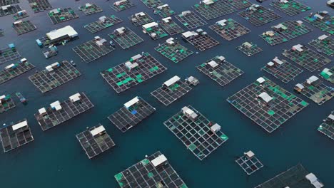 drone view hundred of fish farms on the side of tri nguyen island, nha trang city, khanh hoa province, central vietnam
