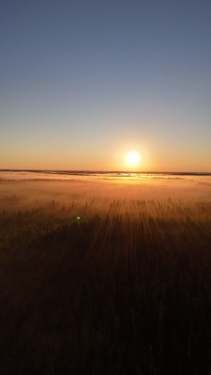 Vertical aerial drone shot orbiting left and descending over mist-covered swampy boreal forest on the Canadian Shield in northern Manitoba. Sun rising above trees casting shadows through morning dew.